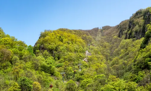 National Forest Park of Niubeiliang Shanxi