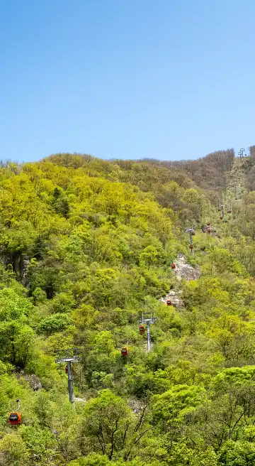 Vue Properties in Zhashui