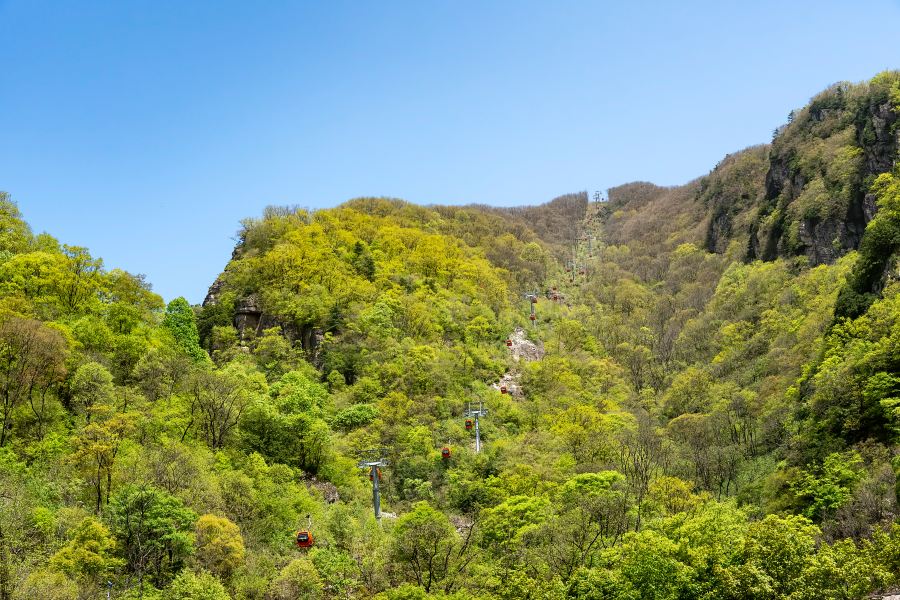 牛背樑國家森林公園