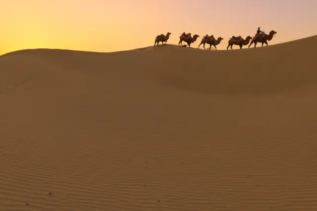 Camel Riding in Kashi