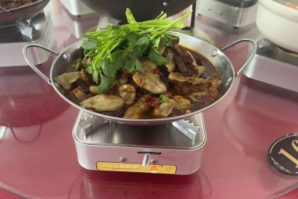 WAN XI REN GU TU CAI GUAN