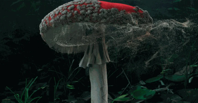 《平行世界》羣展 | Gazelli Art House Baku