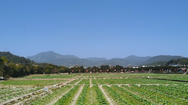 Fengshui Forest of Gutian Conference Site