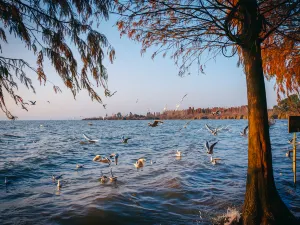 Laoyuhe Wetland Park