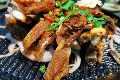 PENG XIN LAMB NATIONAL