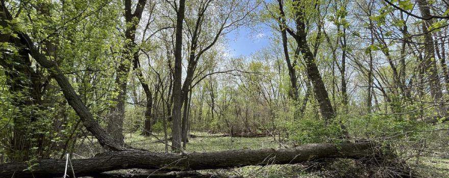 Hatcher Park