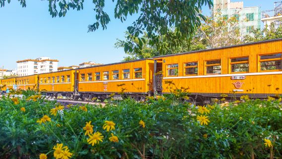 Lin'an Ancient City Meter Gauge Train Theme Park