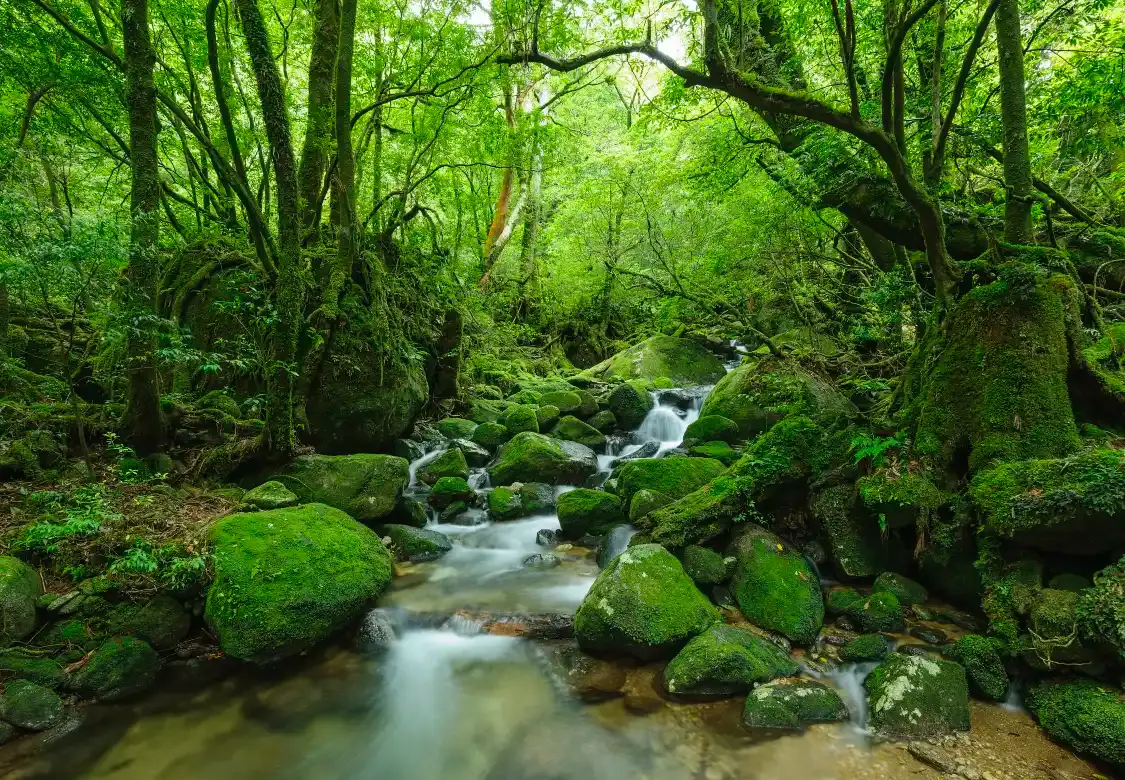 Hotels near Shiratani Unsui Gorge