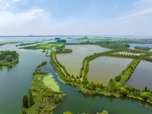 Dushan Island Wetland Scenic Area