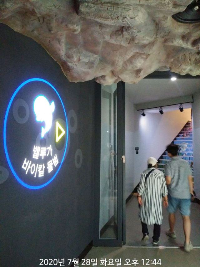 아쿠아플라넷 여수