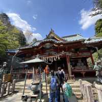 春の高尾山