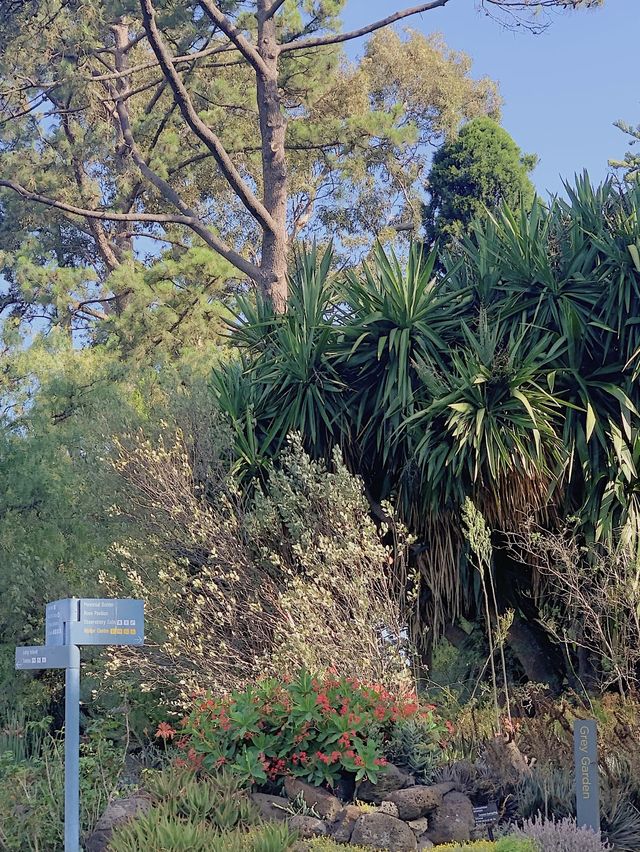 호주의 도심 속 식물원 ⠀̆̈