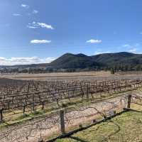 Mudgee wine region in NSW  