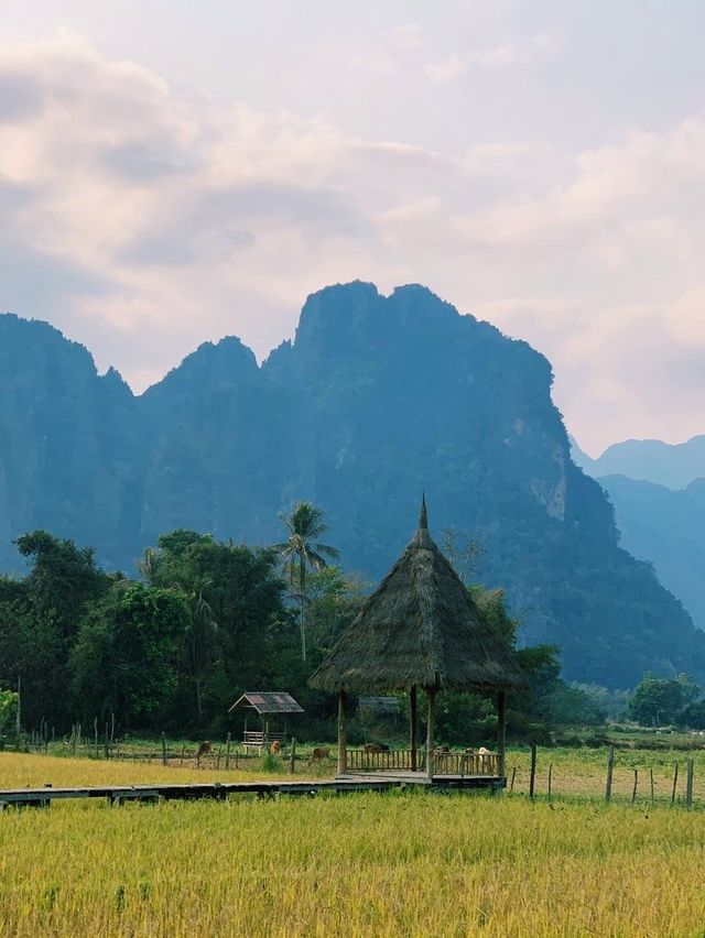 Floating on the rice field 