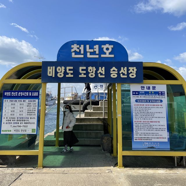 제주도에서 비양도 가는 법 