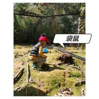 近距離接觸各種鳥類，仲有湖邊風景好好睇！|  沖繩自然動植物公園 Neo Park
