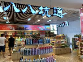 八八坑道