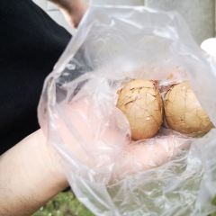 Riyuetan'apochayedan User Photo