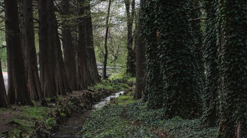 合肥植物園