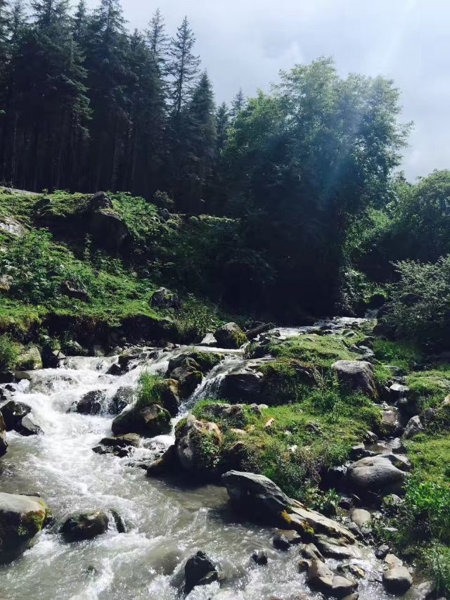 Shenmulei