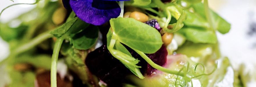 Botanist Restaurant & Bar