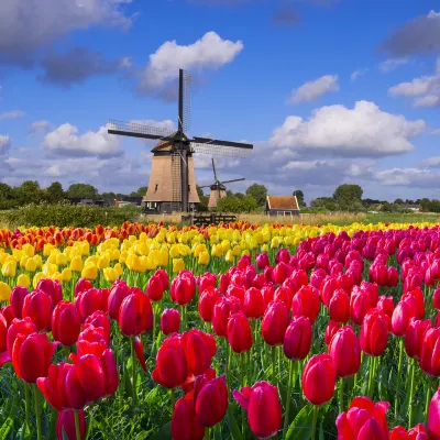 Бутик Отели в г. Яньчэн