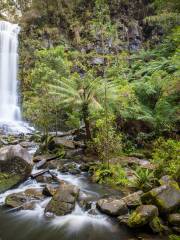 Erskine Falls