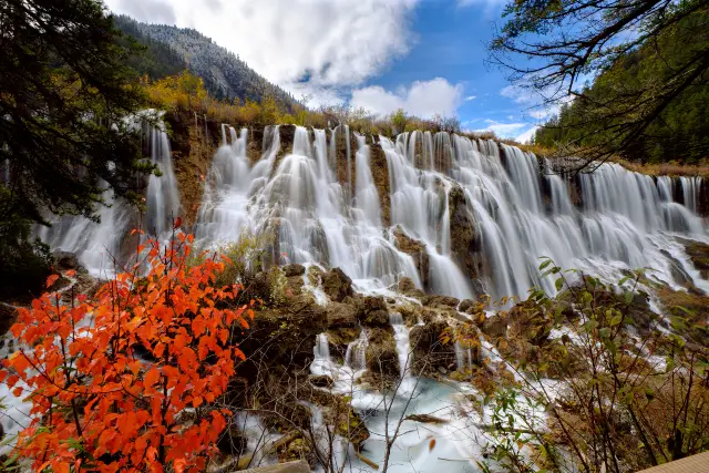 Fall Leaves Viewing in Jiuzhaigou