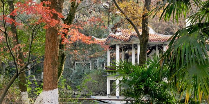 Mt. Zheshan Scenic Resort