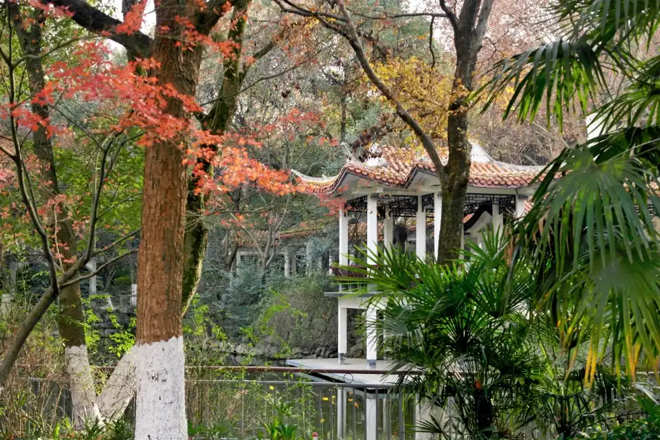 鄰近赭山公園的酒店