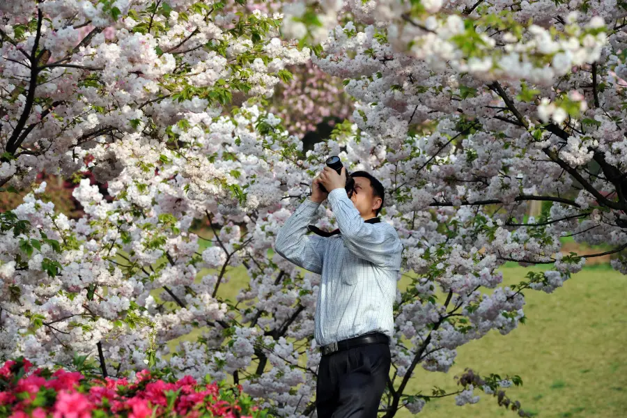 花舞人間