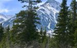 Sulphur Mountain