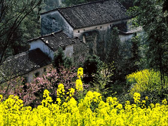 Wangmu Mountain