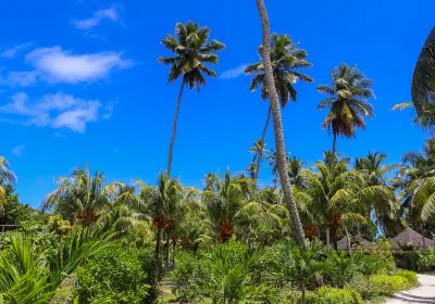 Siquijor Island