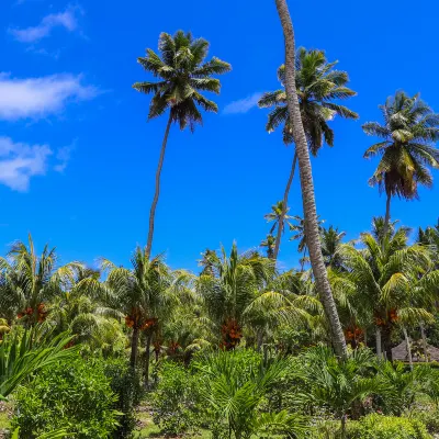 3-звездочные отели в г. Лапу-Лапу