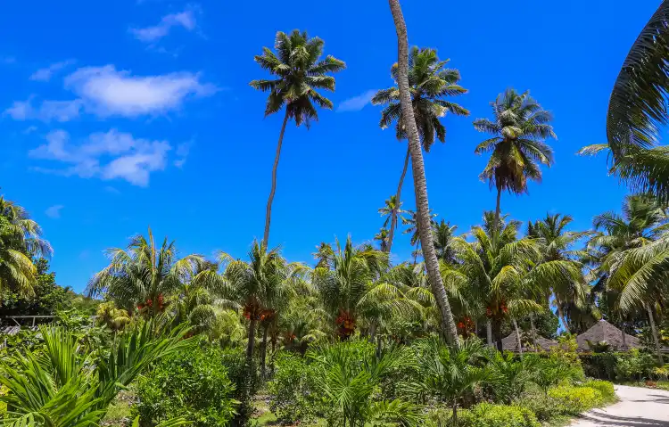 Hotels in Siquijor