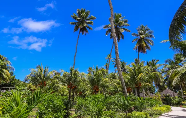 Vé máy bay Tagbilaran Đà Nẵng