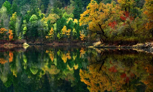 Crater National Forest Park