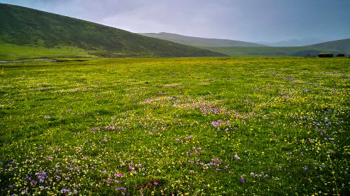 Hongyuan - Ruoergai Prairie