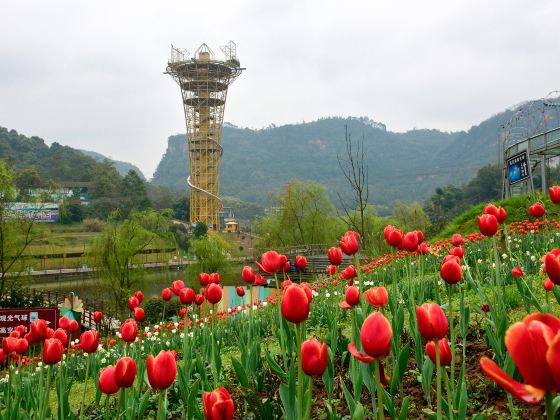 Qingxi Valley Tourist Area • Huatian Wineland Scenic Area