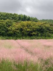 Longtan Flower Valley