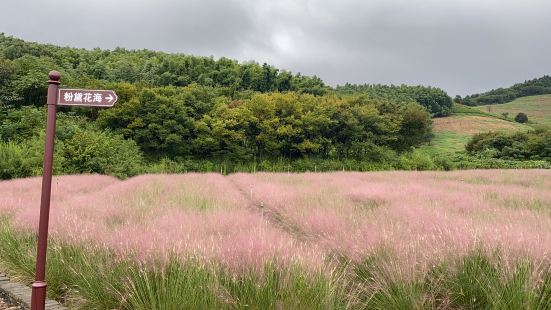 Longtan Flower Valley