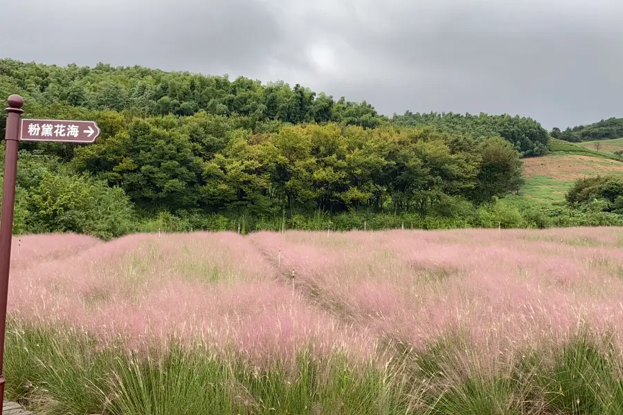 Longtan Flower Valley