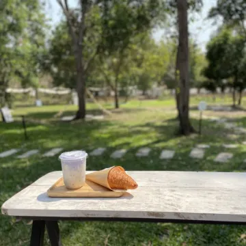 เชียงราย ไปเที่ยวไหนดี 2569