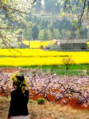 Songlin Peach Blossom