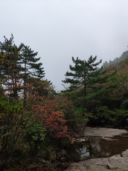 安徽清涼峰國家級自然保護區珍稀植物園