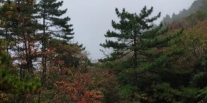 安徽清涼峰國家級自然保護區珍稀植物園