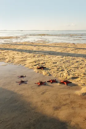 3-звездочные отели в г. Фукуок