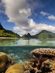 Nationalpark von Amerikanisch-Samoa