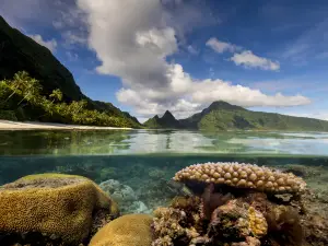 Parque nacional de Samoa Americana